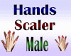 Hands Scaler Male