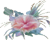 MaGiC FLoWeR  *AniMaTeD*