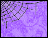 |Spider Web|