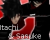 [D.P.I] Brothers