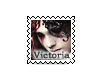 VF Collection Nr7