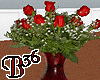 red roses
