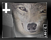 GaGa! Wolf Sweater