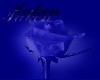 Taken Blue rose