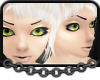N`Cassie Head Derivable