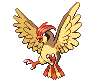 017_Pidgeotto