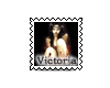 VF Collection Nr14