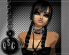~QSC~Black Tidy Bear
