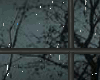 [:Sun:]rainywindow anima