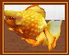 [JAC] Gold Fisch2