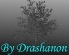 Shadow Tree 9