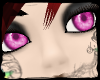 &reg; &sup1;|Panda`s Eyes
