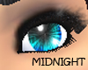 [MINI] MidNight Rays