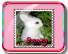Bunny Biggi Stamp