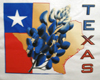 :) texas_flag_bluebonnet