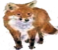 sticker_33123486_47001856