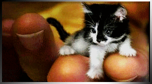 sticker_32310918_47498055
