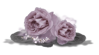 sticker_28614435_47353013