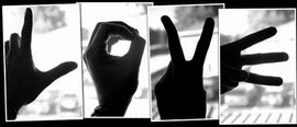 sticker_29504697_42712489