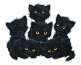 sticker_29059225_41650707