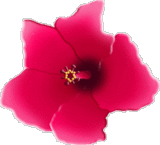 sticker_6284979_10412012