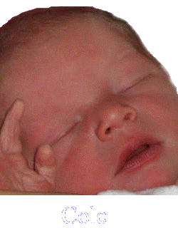 sticker_4735398_6501645