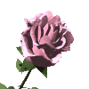 sticker_17491505_37440919
