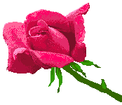 sticker_25327246_47557279