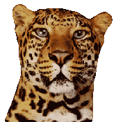 sticker_1569779_47536521