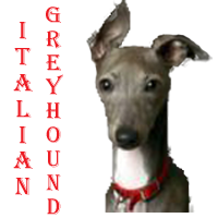 sticker_14389759_42094226