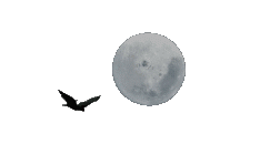 sticker_18679931_47604694