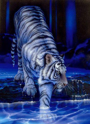 sticker_12240895_17306611