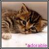 sticker_15248726_33420699