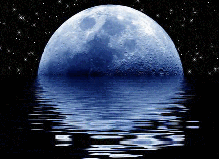 sticker_22863730_41334483