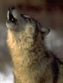 sticker_12417504_22828380
