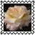 sticker_1656440_23811646