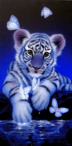sticker_26056149_47516519
