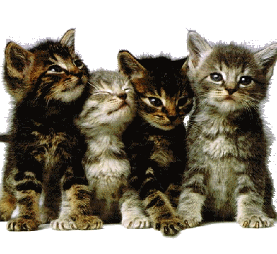 sticker_11001216_42056750