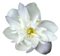 sticker_35754523_58