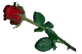 sticker_31671583_47432061