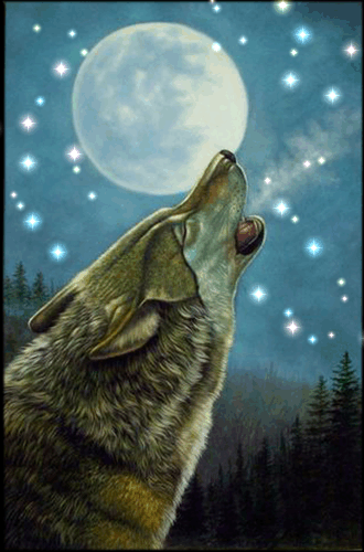 sticker_9579711_40868828