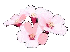 sticker_17945959_39465682