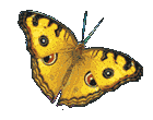 sticker_11443874_47162567