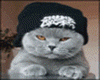 sticker_35606533_228
