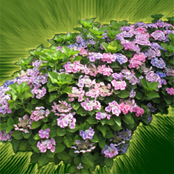 sticker_13921328_47305769