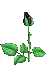 sticker_19897_524428