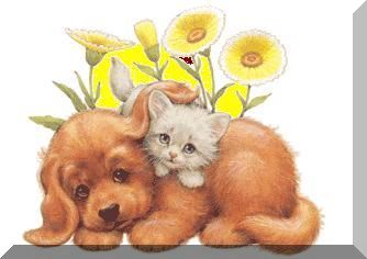 sticker_7638833_11246491