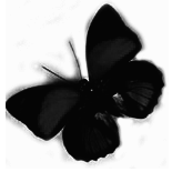 sticker_18978046_44882166