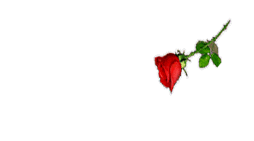 sticker_34398375_52
