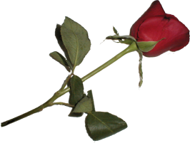 sticker_13860887_47203631